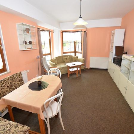 Snug Apartment In Jachymov Near Ski Area Buitenkant foto